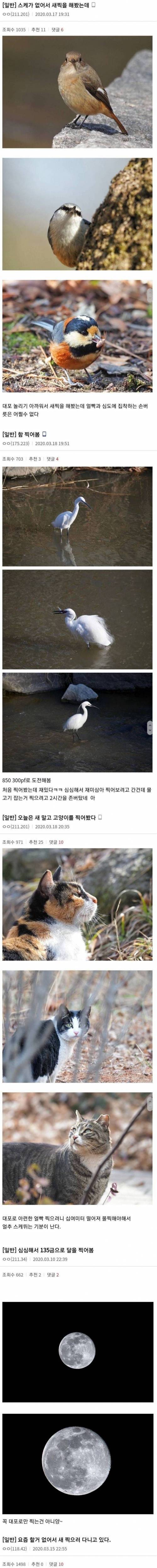 [스압] 아이돌 스케쥴이 취소돼서 심심했던 찍덕들 근황