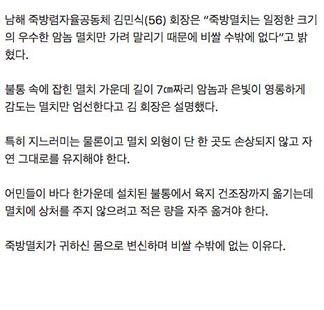 일반멸치보다 10배이상 비싸다는 멸치계의 명품.jpg