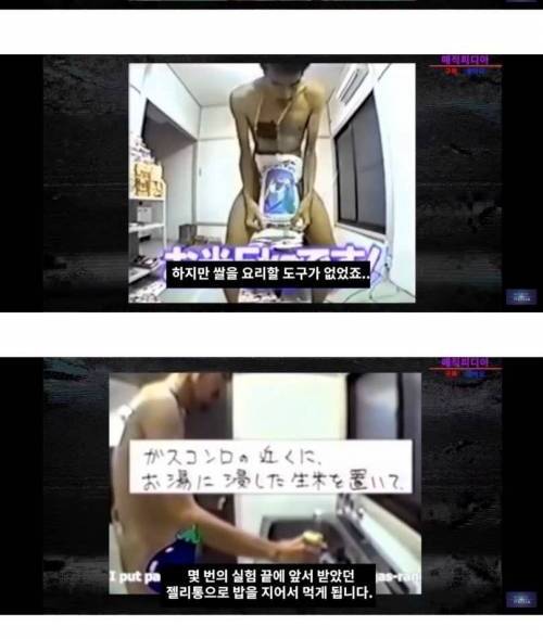 [스압] 일본에서 실제로 방영한 괴랄한 인기 예능(335일 동안 나체 감금).jpg