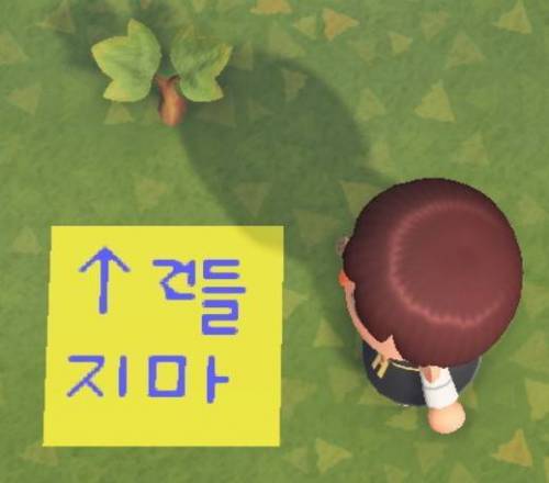 자매가 동숲을 하면 안되는 이유.jpg
