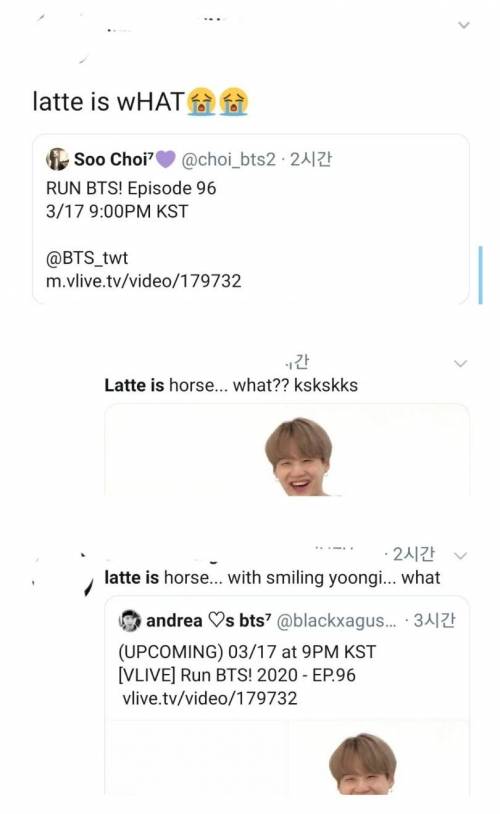 [스압] 해외 BTS 팬의 학습량.jpg