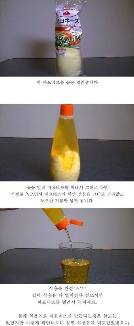 마요네즈를 먹으면 살찌는 이유