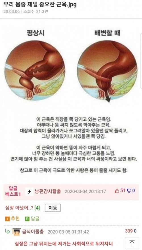 우리 몸에서 제일 중요한 근육