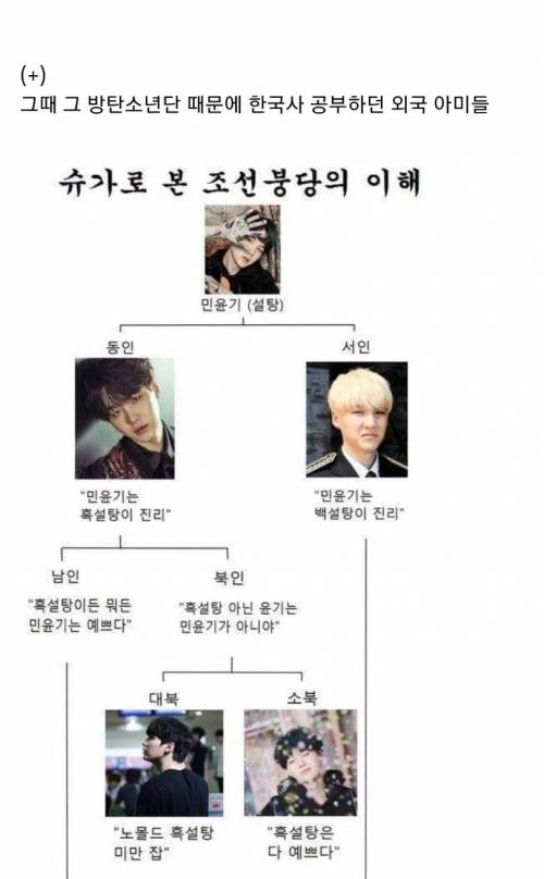 [스압] 해외 BTS 팬의 학습량.jpg