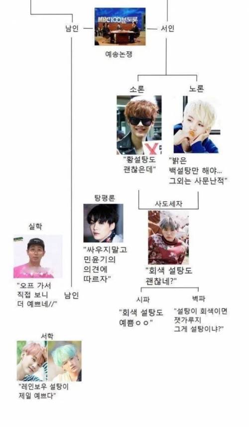 [스압] 해외 BTS 팬의 학습량.jpg