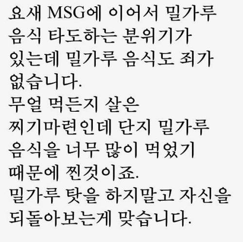 밀가루 음식은 죄가 없다