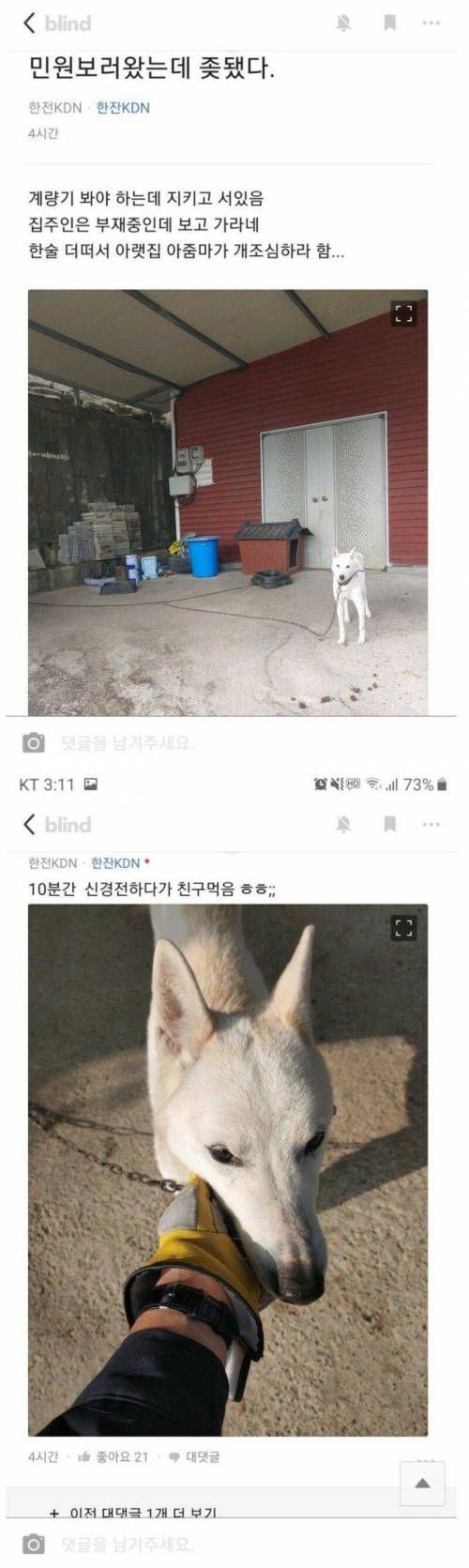 피말리는 시골 한전 직원의 일상