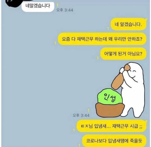 회사 단톡방 대참사.jpg