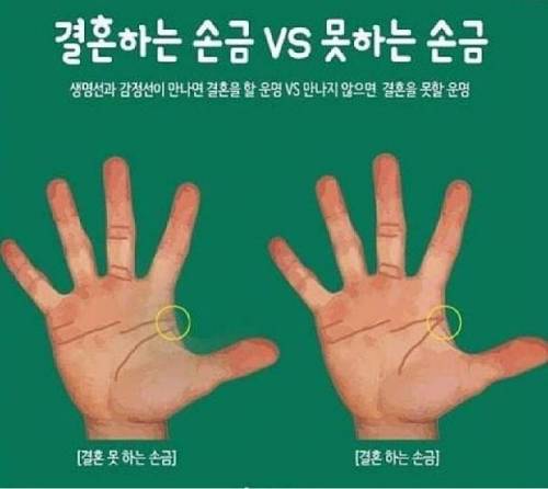 결혼하는 손금.jpg