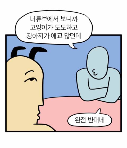 강아지 고양이에게 스테레오타입을 기대하면 안되는 이유