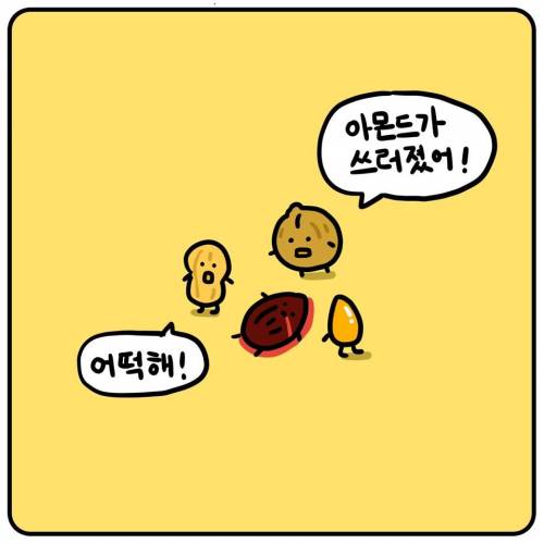 우애 깊은 견과류 친구들.jpg