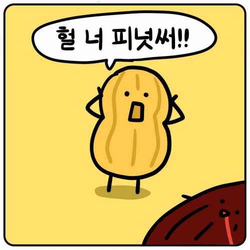 우애 깊은 견과류 친구들.jpg