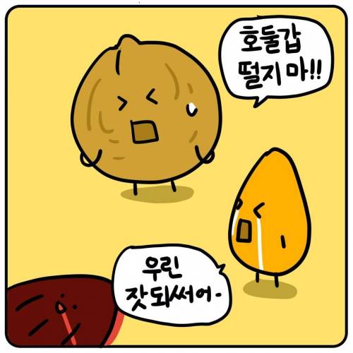 우애 깊은 견과류 친구들.jpg
