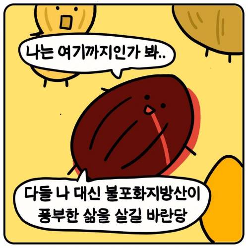 우애 깊은 견과류 친구들.jpg