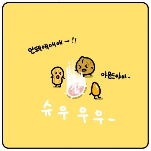 우애 깊은 견과류 친구들.jpg