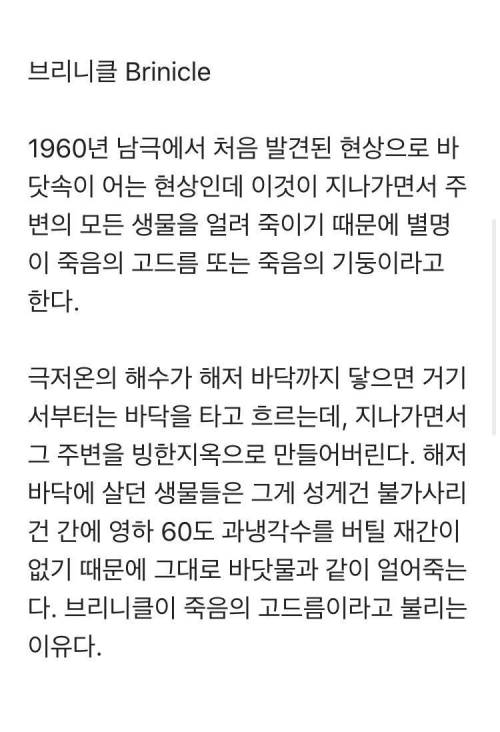 바닷속 생물들에게 죽음의 기둥이라 불리는 존재