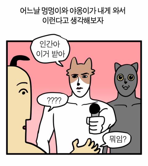 강아지 고양이에게 스테레오타입을 기대하면 안되는 이유