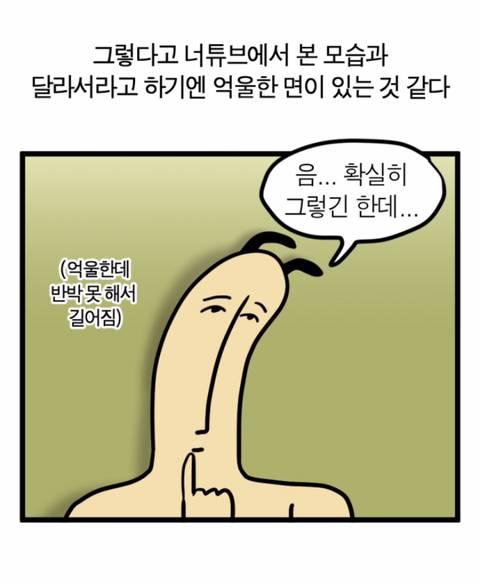 강아지 고양이에게 스테레오타입을 기대하면 안되는 이유