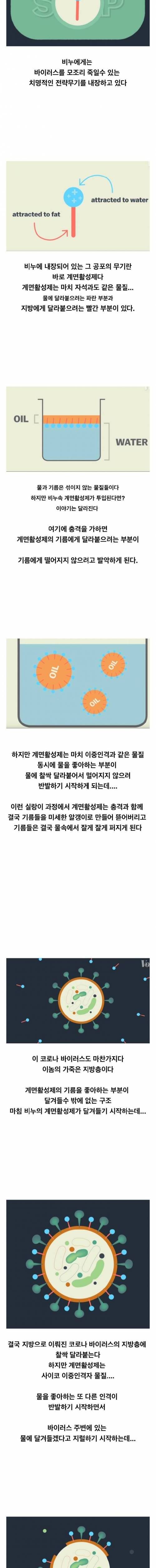 [스압] 비누가 코로나 바이러스를 죽이는 원리.jpg