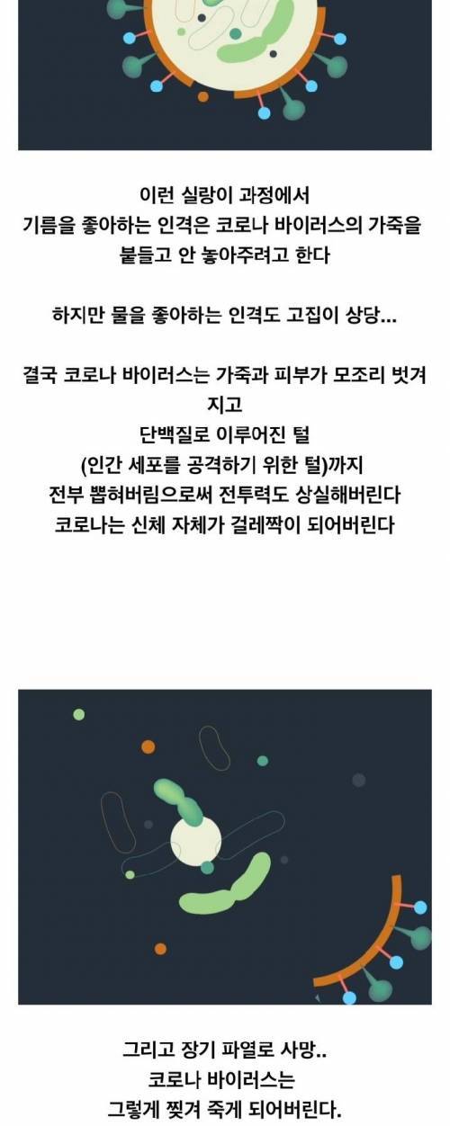 [스압] 비누가 코로나 바이러스를 죽이는 원리.jpg