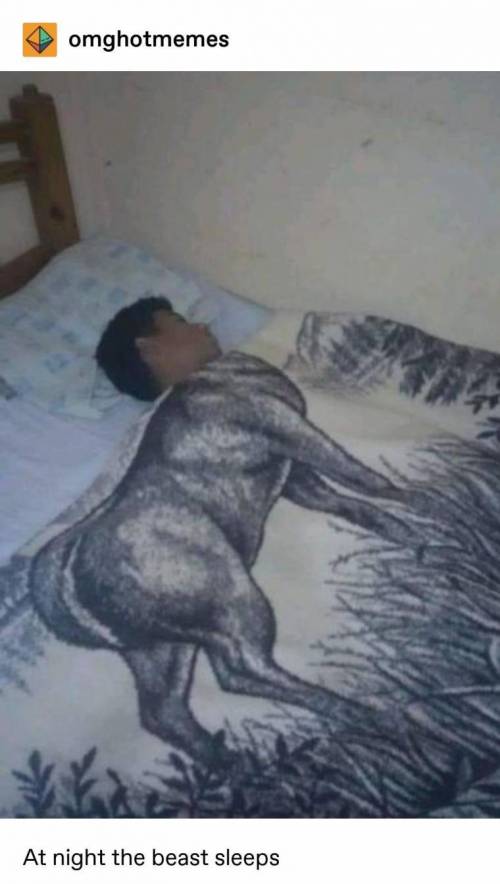 신박한 이불.jpg