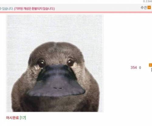 지구상에 어쩌면 유니콘이 존재할 수도 있는 이유.jpg