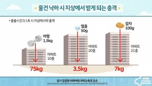 친구의 투신 자살을 받아낸 여고생