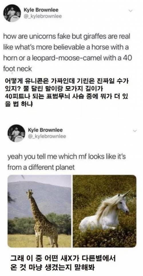 지구상에 어쩌면 유니콘이 존재할 수도 있는 이유.jpg
