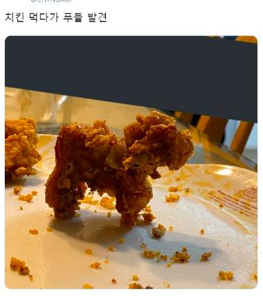 치킨에서 나온 푸들