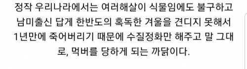 한국 한정 이로운 식물인 외래종