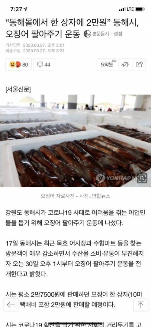 감자는 끝났고 이제는 오징어다..jpg