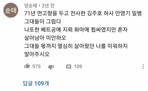 유튜브에서 본 베트남 파병 군인분의 댓글