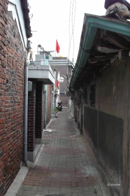 [스압] 정겨운 골목길.jpg