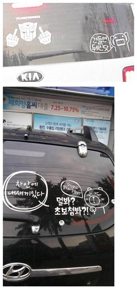 가짜 광기와 진짜 광기.jpg