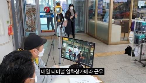 [스압] 코로나 발생 이후 공무원들 일과
