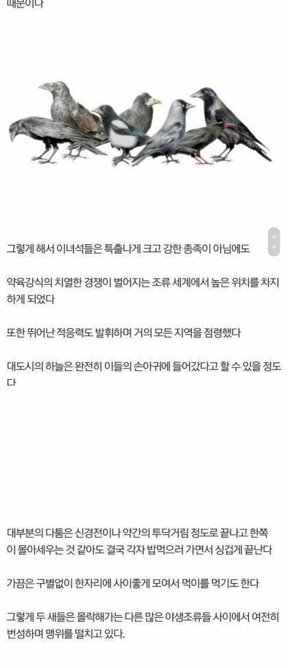 [스압] 대한민국 하늘의 지배자.jpg