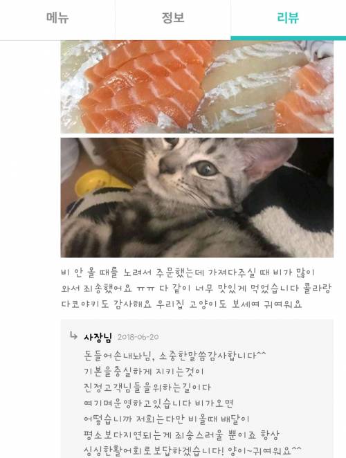 고양이 키우는 사람 특징.jpg