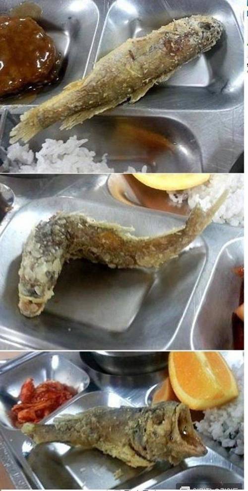 군인들 희소식.jpg