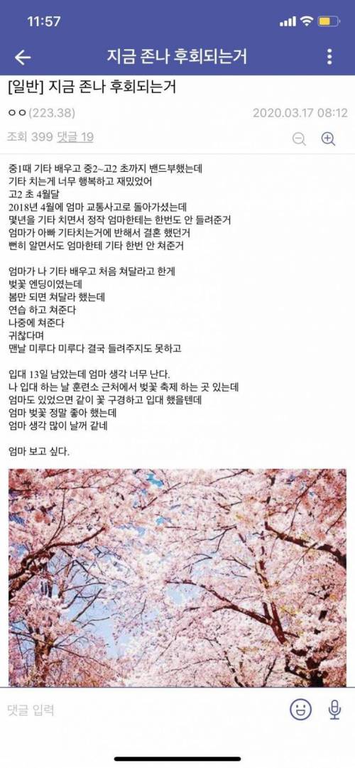 기타를 배우고 후회하는 디씨인