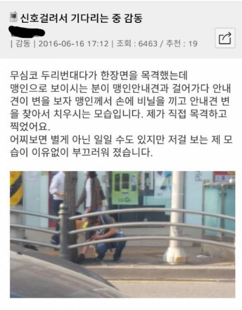 신호걸려서 기다리는 중 감동