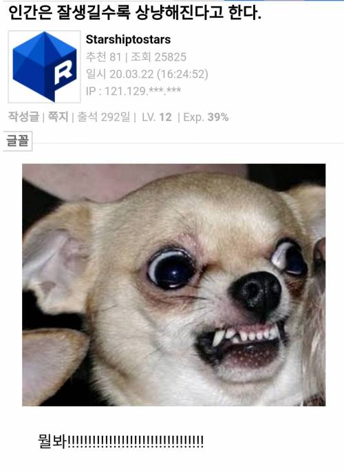 잘생길수록 상냥해진다고 한다.jpg