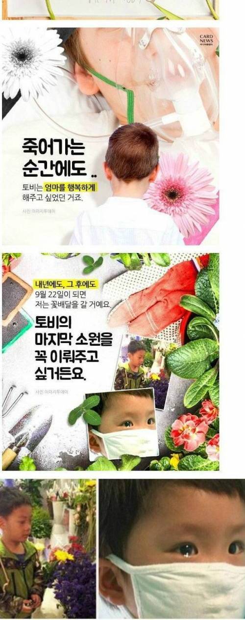 [스압] 꽃을 60년 동안 정기 배송 요구한 소년.jpg