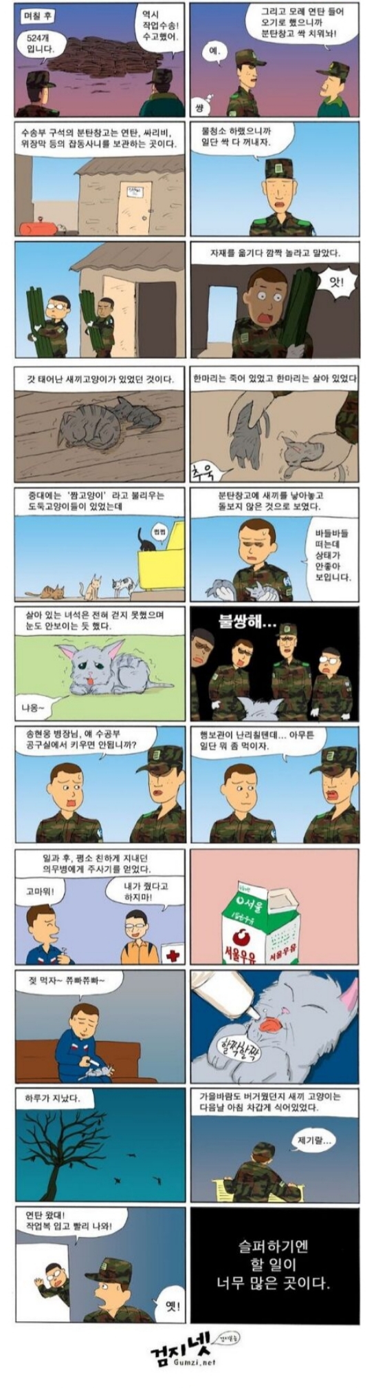 주호민이 새끼 고양이에게 실수했다고 욕먹은 썰.jpg