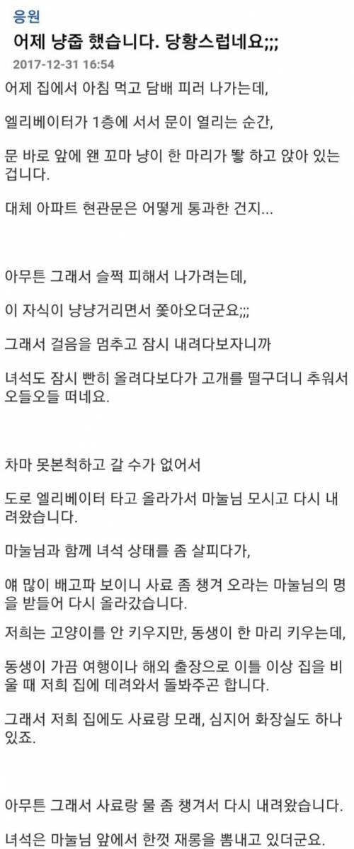 [스압] 담배피러 나갔다가 골치덩이 주워온썰.jpg