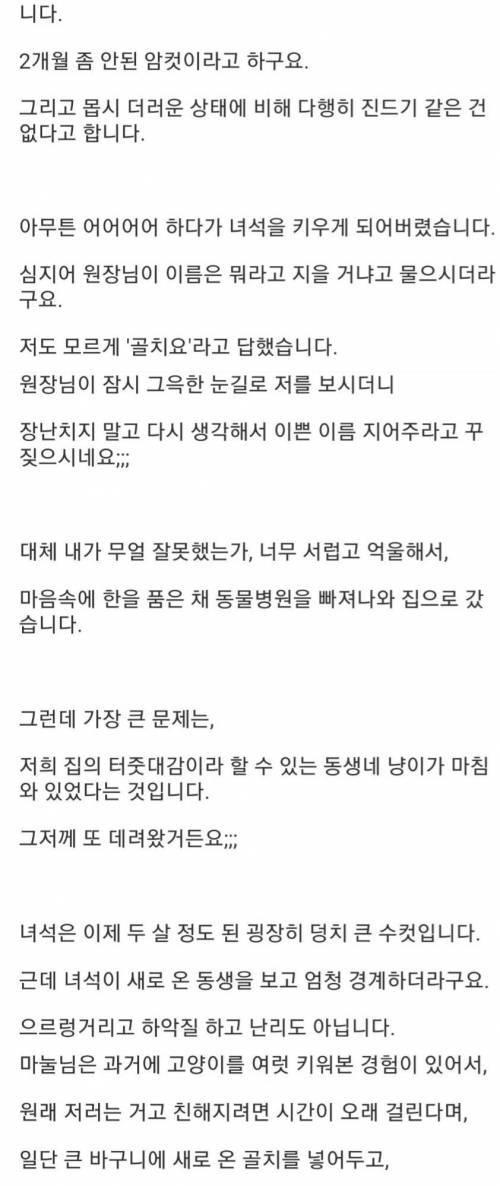 [스압] 담배피러 나갔다가 골치덩이 주워온썰.jpg