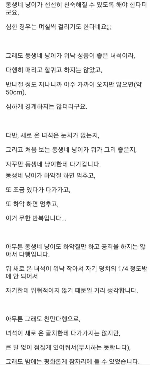 [스압] 담배피러 나갔다가 골치덩이 주워온썰.jpg