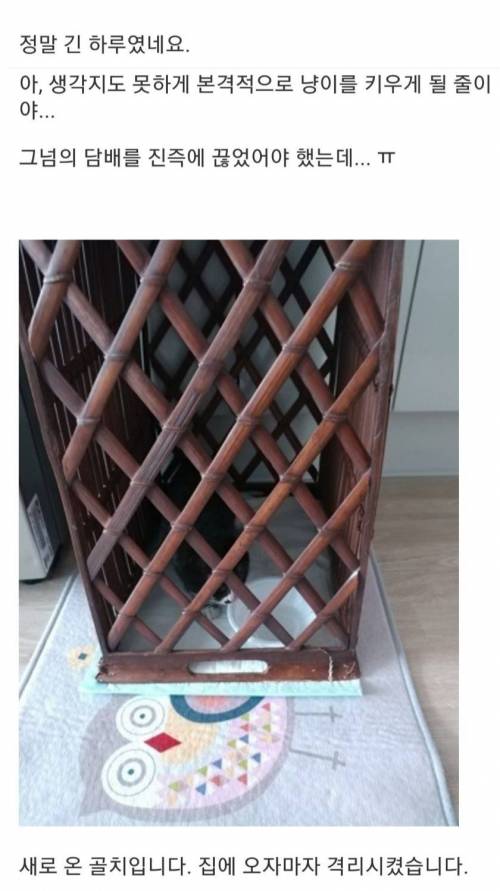 [스압] 담배피러 나갔다가 골치덩이 주워온썰.jpg