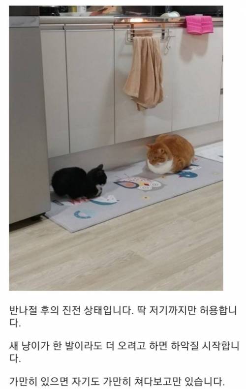 [스압] 담배피러 나갔다가 골치덩이 주워온썰.jpg