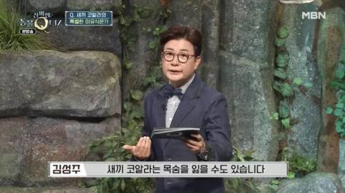 코알라가 독성이 있는 유칼립투스 잎을 먹을 수 있는 이유.jpg