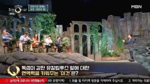 코알라가 독성이 있는 유칼립투스 잎을 먹을 수 있는 이유.jpg